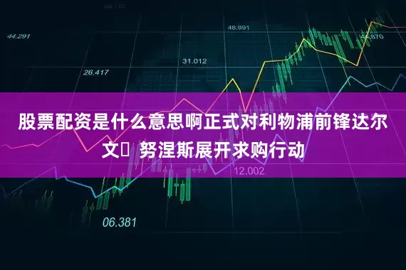 股票配资是什么意思啊正式对利物浦前锋达尔文・努涅斯展开求购行动