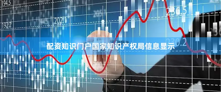 配资知识门户国家知识产权局信息显示