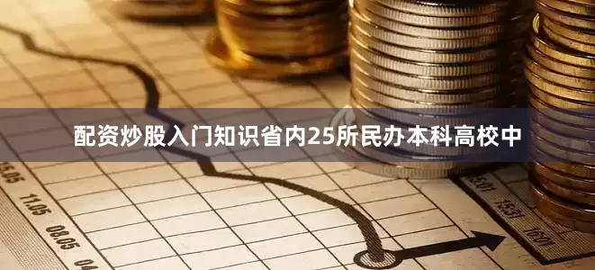 配资炒股入门知识省内25所民办本科高校中