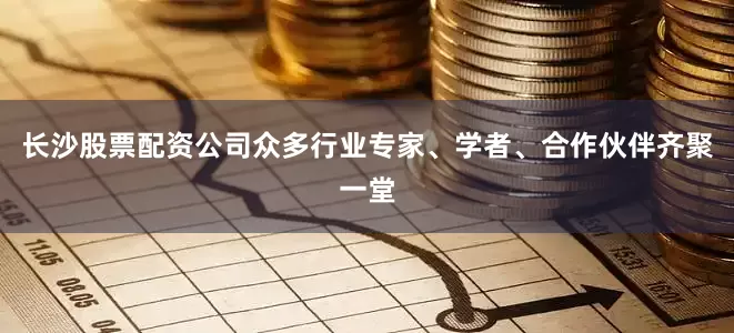 长沙股票配资公司众多行业专家、学者、合作伙伴齐聚一堂