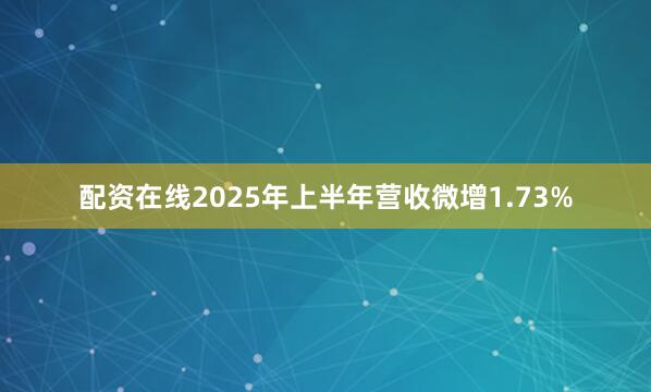 配资在线2025年上半年营收微增1.73%
